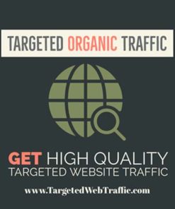 Buy Targeted Organic Website Traffic - Quality Targeted Visitors - Targeted Web Traffic