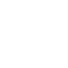 Integrity icon - Targeted Web Traffic